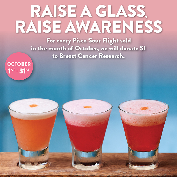 Pisco y Nazca, raising awareness for Breast Cancer Awareness Month with $1 donated to research for every flight sold.