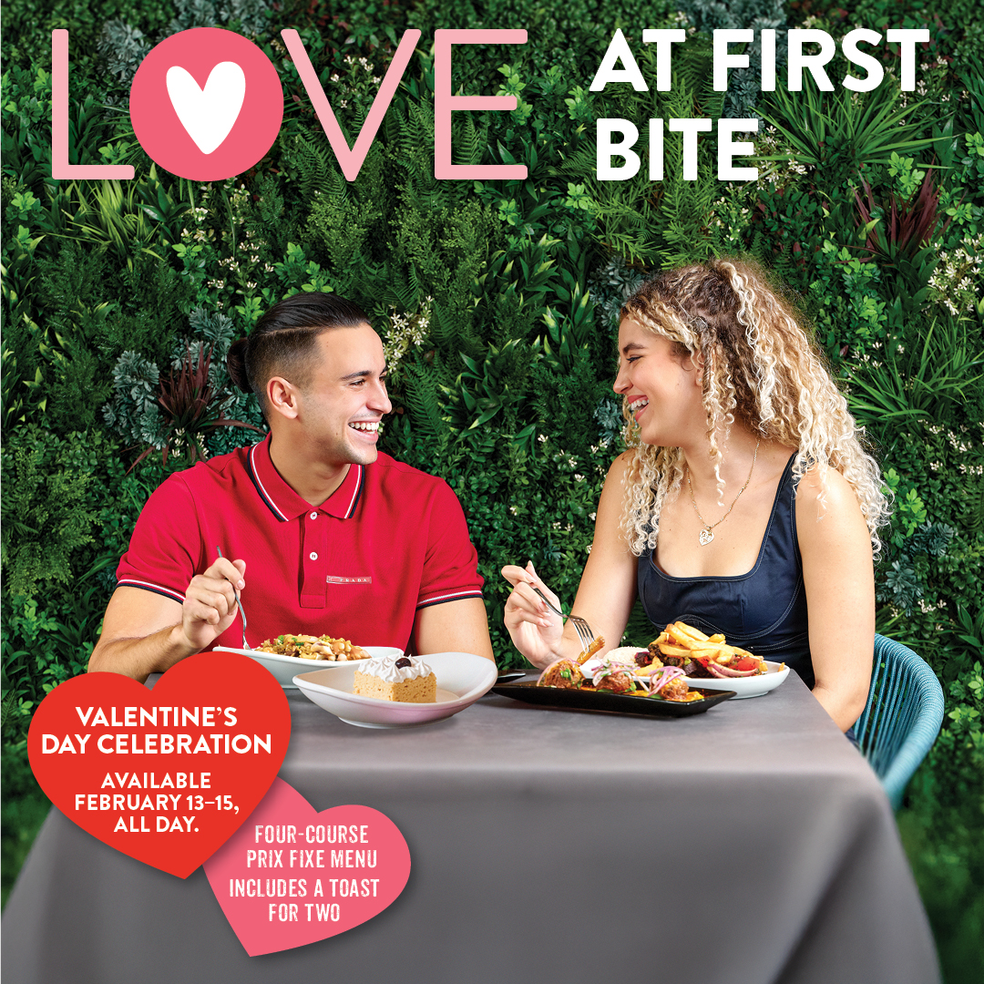 Valentine’s Day dinner at Pisco y Nazca, featuring a 4-course prix fixe menu with Peruvian-inspired dishes and a celebratory toast